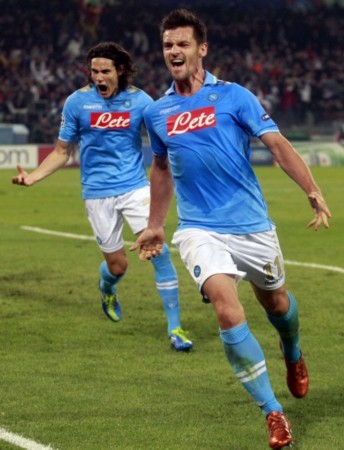 供了极大的 供了极大的